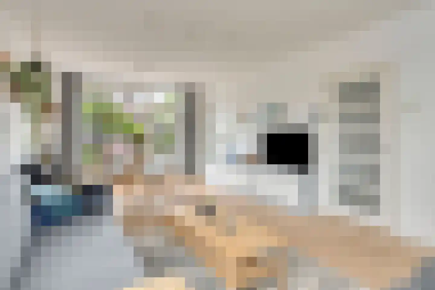 Bachstraat 4 Elst thumbnail 11