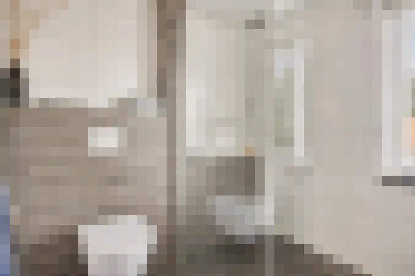 Bachstraat 4 Elst thumbnail 24
