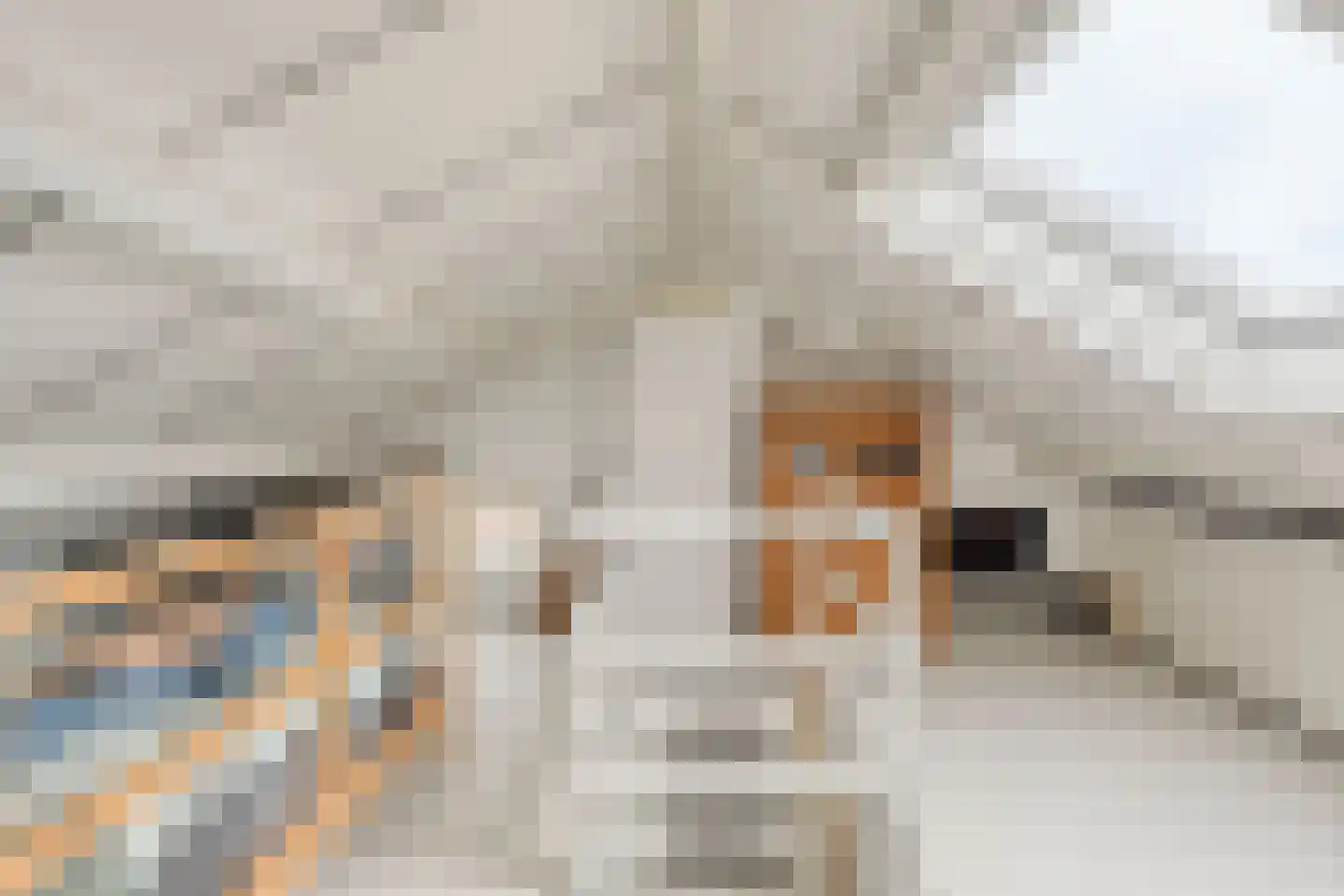 Bachstraat 4 Elst thumbnail 28