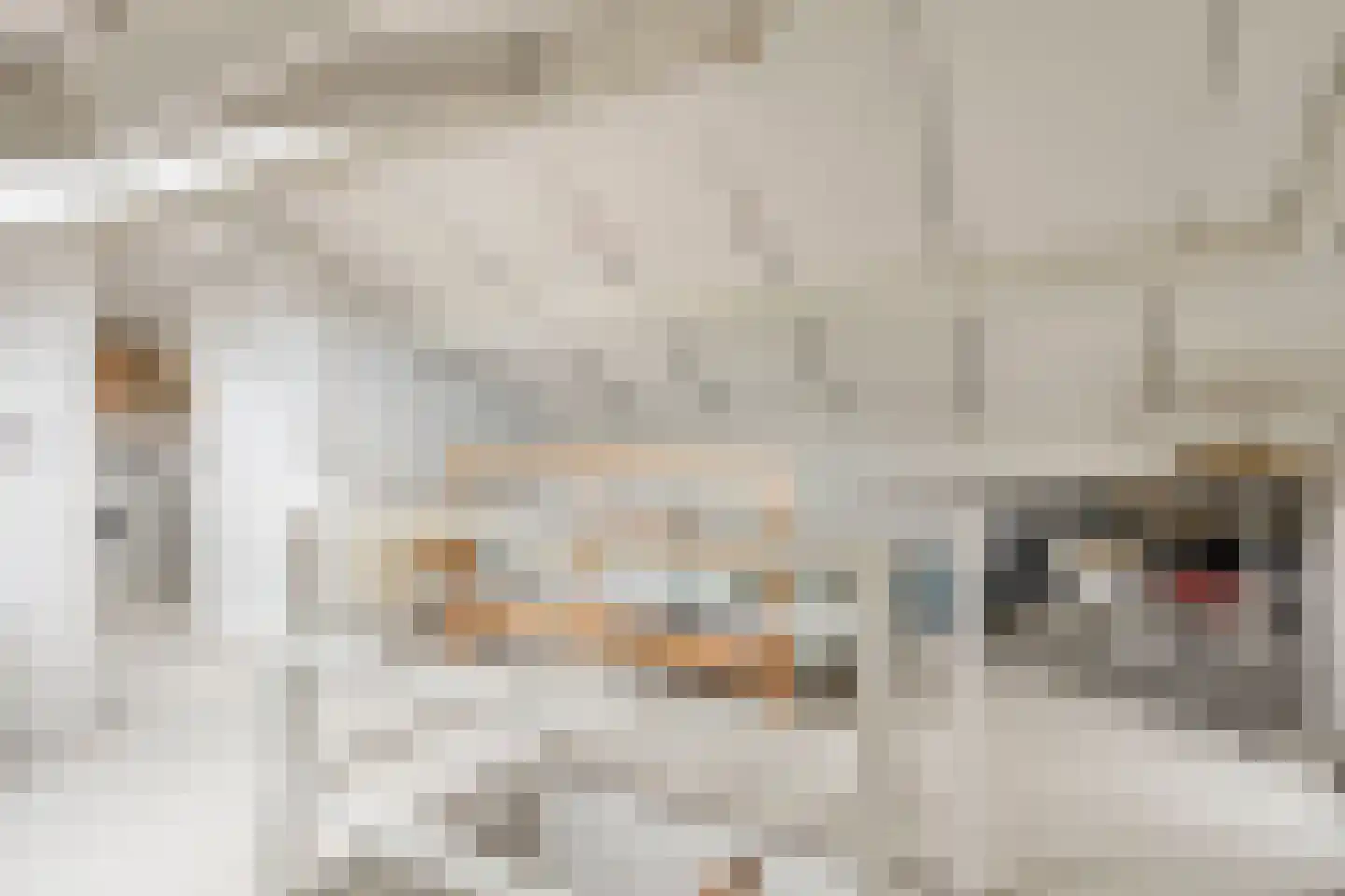 Bachstraat 4 Elst thumbnail 29