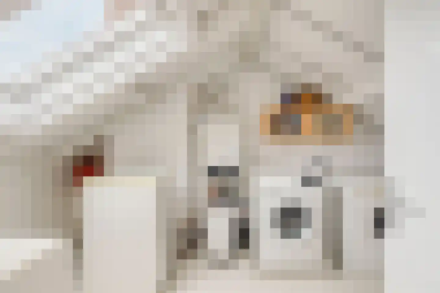 Bachstraat 4 Elst thumbnail 30