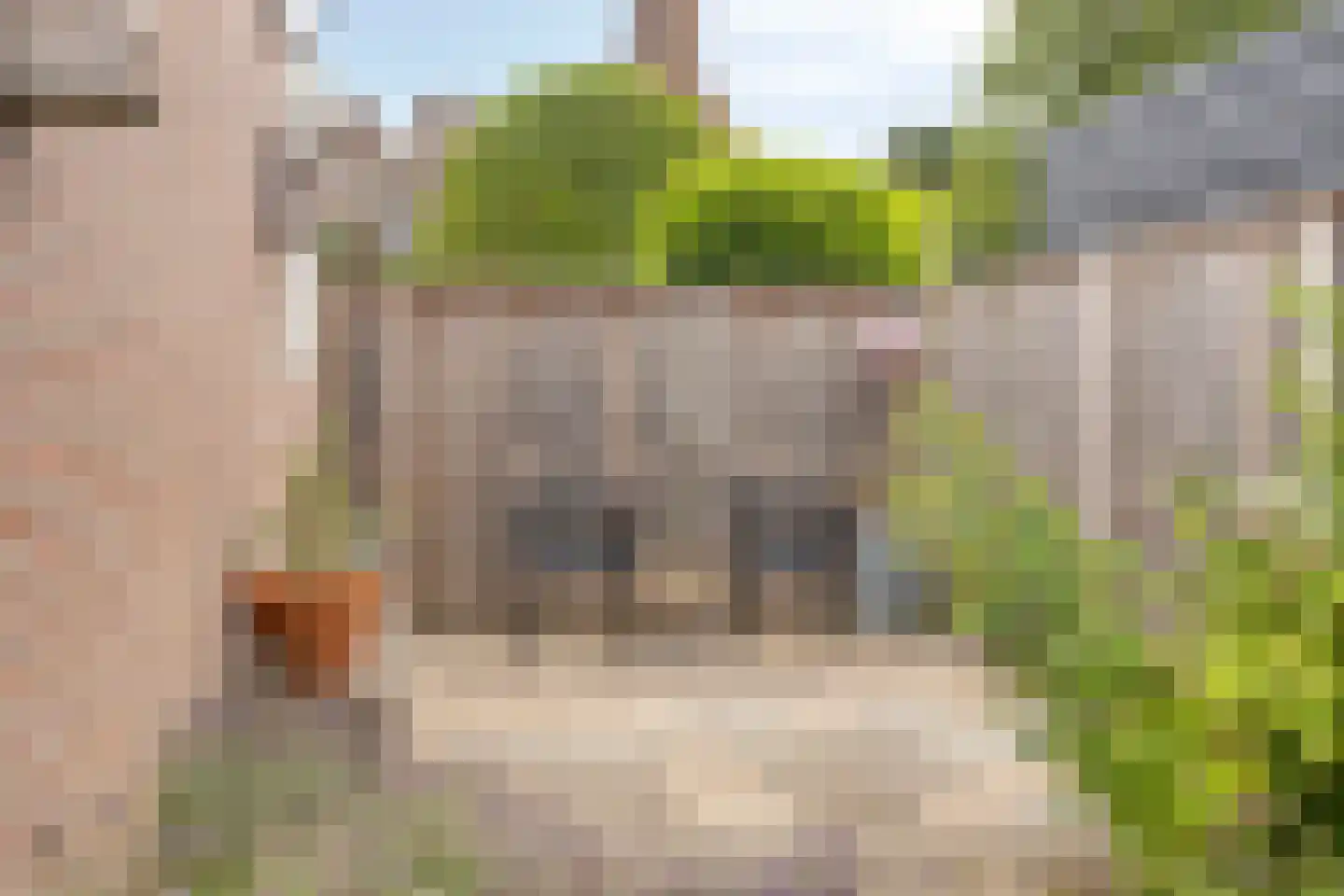 Bachstraat 4 Elst thumbnail 35