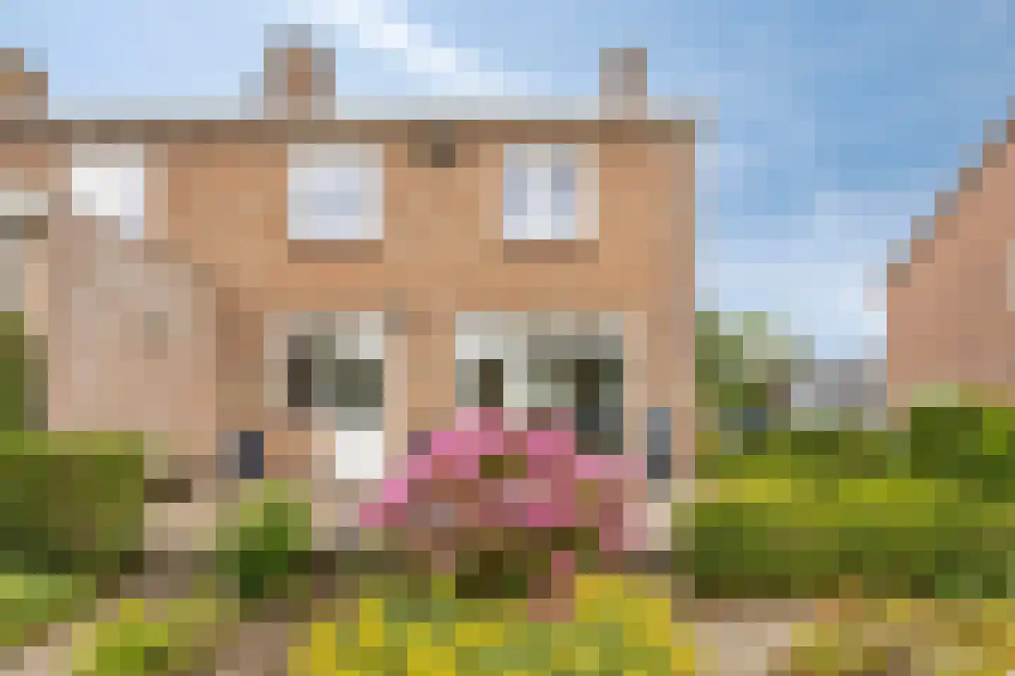 Bachstraat 4 Elst thumbnail 36
