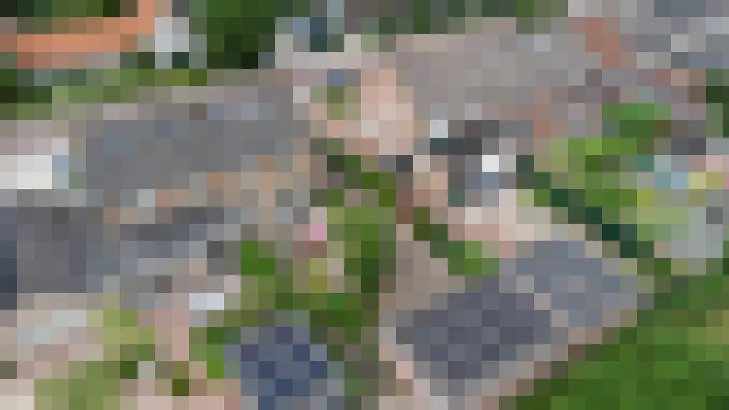 Bachstraat 4 Elst thumbnail 38
