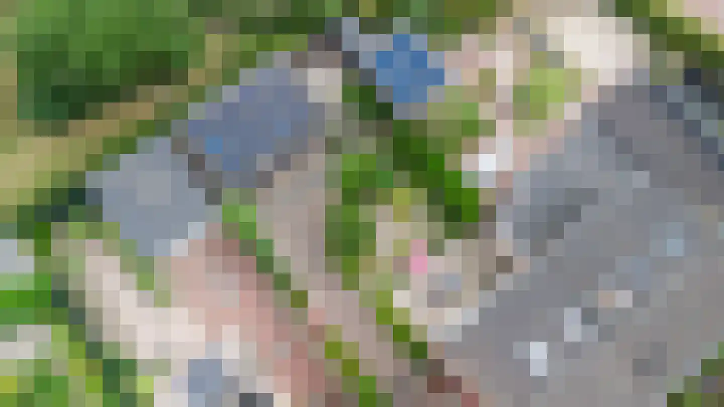 Bachstraat 4 Elst thumbnail 39