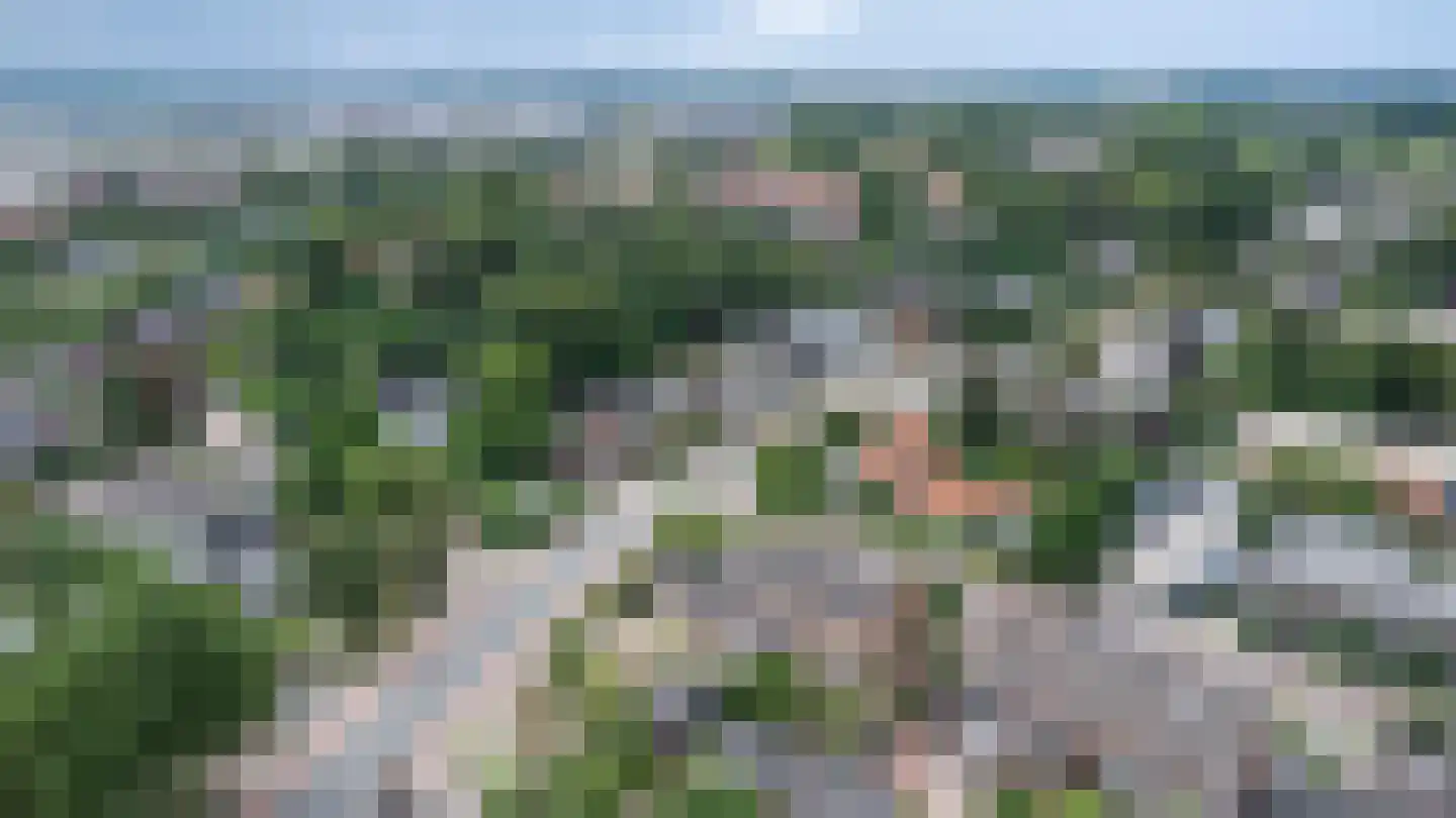 Bachstraat 4 Elst thumbnail 41