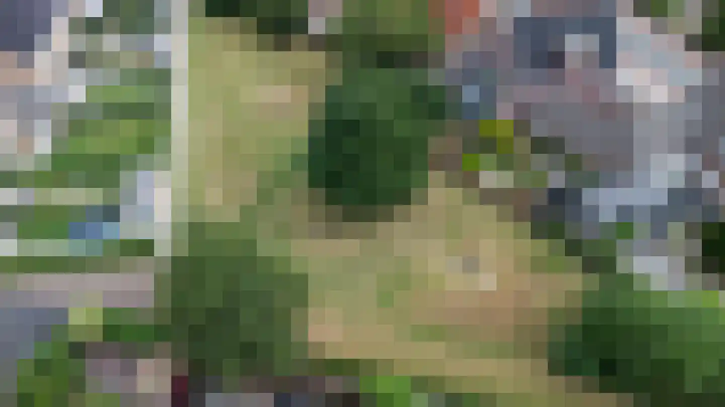 Bachstraat 4 Elst thumbnail 42