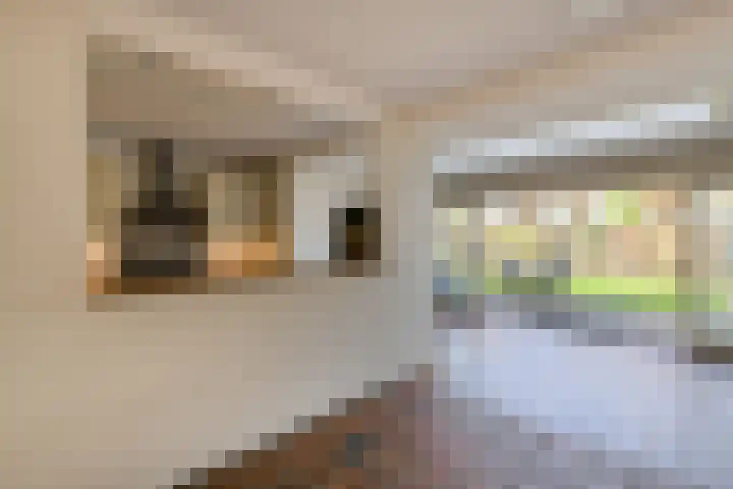 Bachstraat 4 Oosterhout thumbnail 11