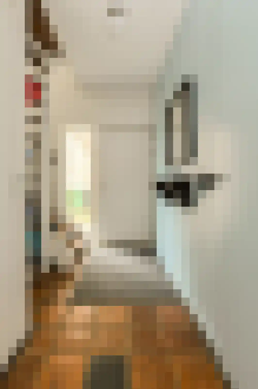 Bachstraat 4 Oosterhout thumbnail 18
