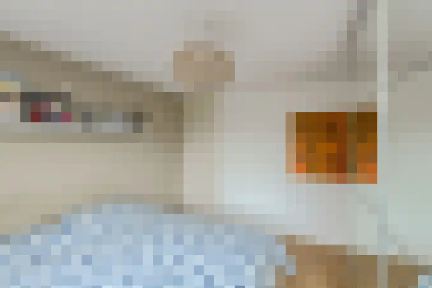 Bachstraat 4 Oosterhout thumbnail 20