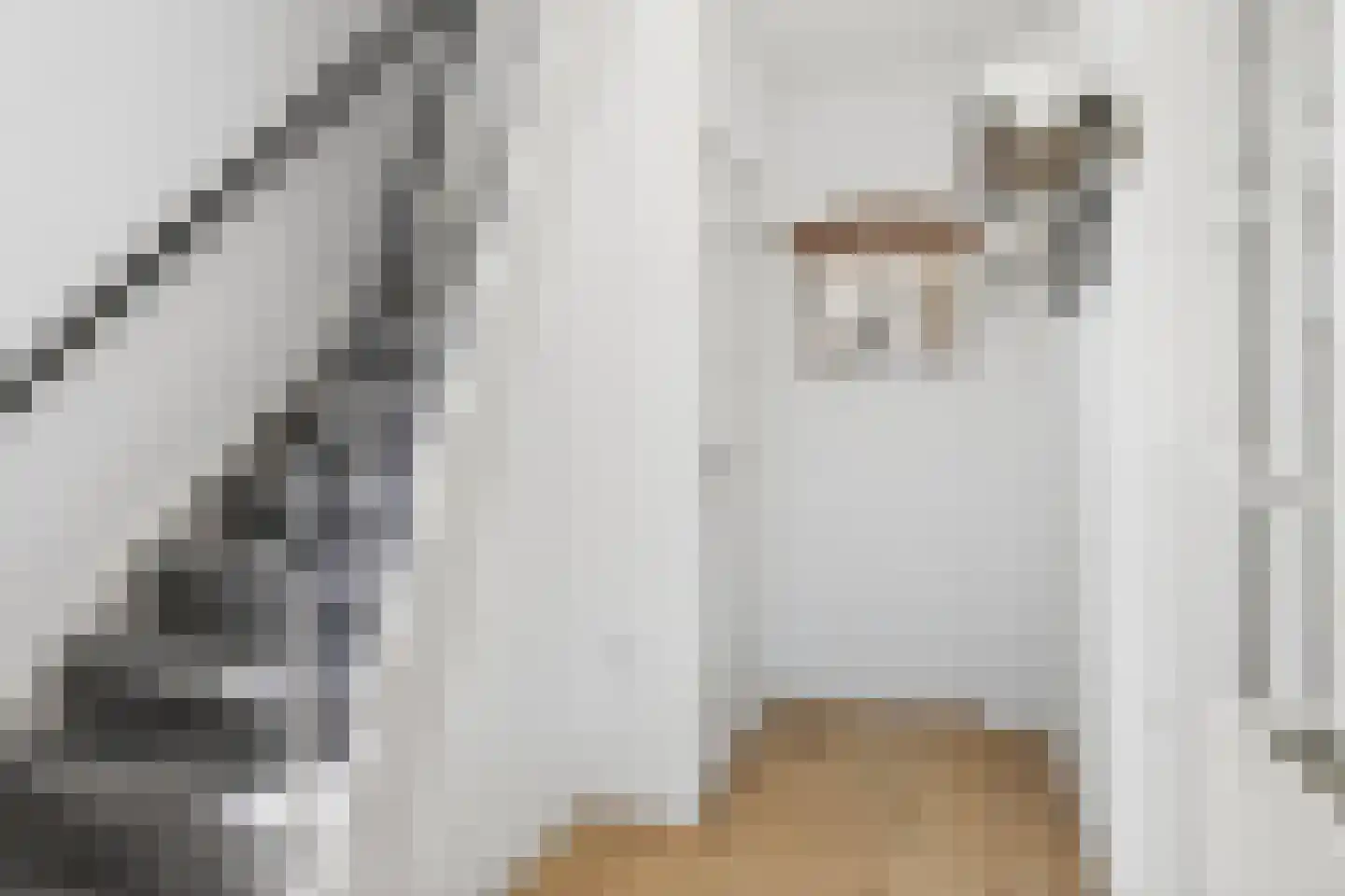 Bachstraat 40 Elst thumbnail 11