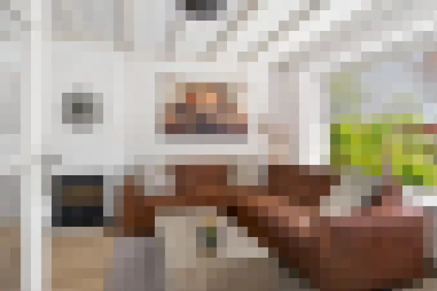 Bachstraat 40 Elst thumbnail 12
