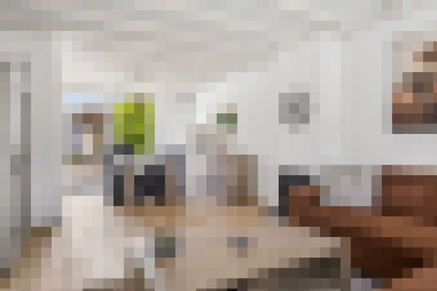 Bachstraat 40 Elst thumbnail 14