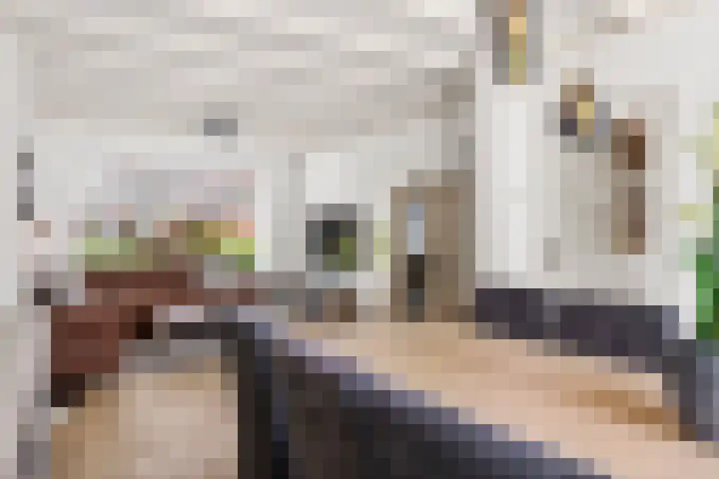 Bachstraat 40 Elst thumbnail 17