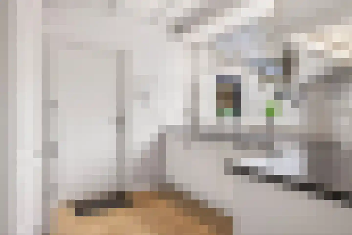Bachstraat 40 Elst thumbnail 19