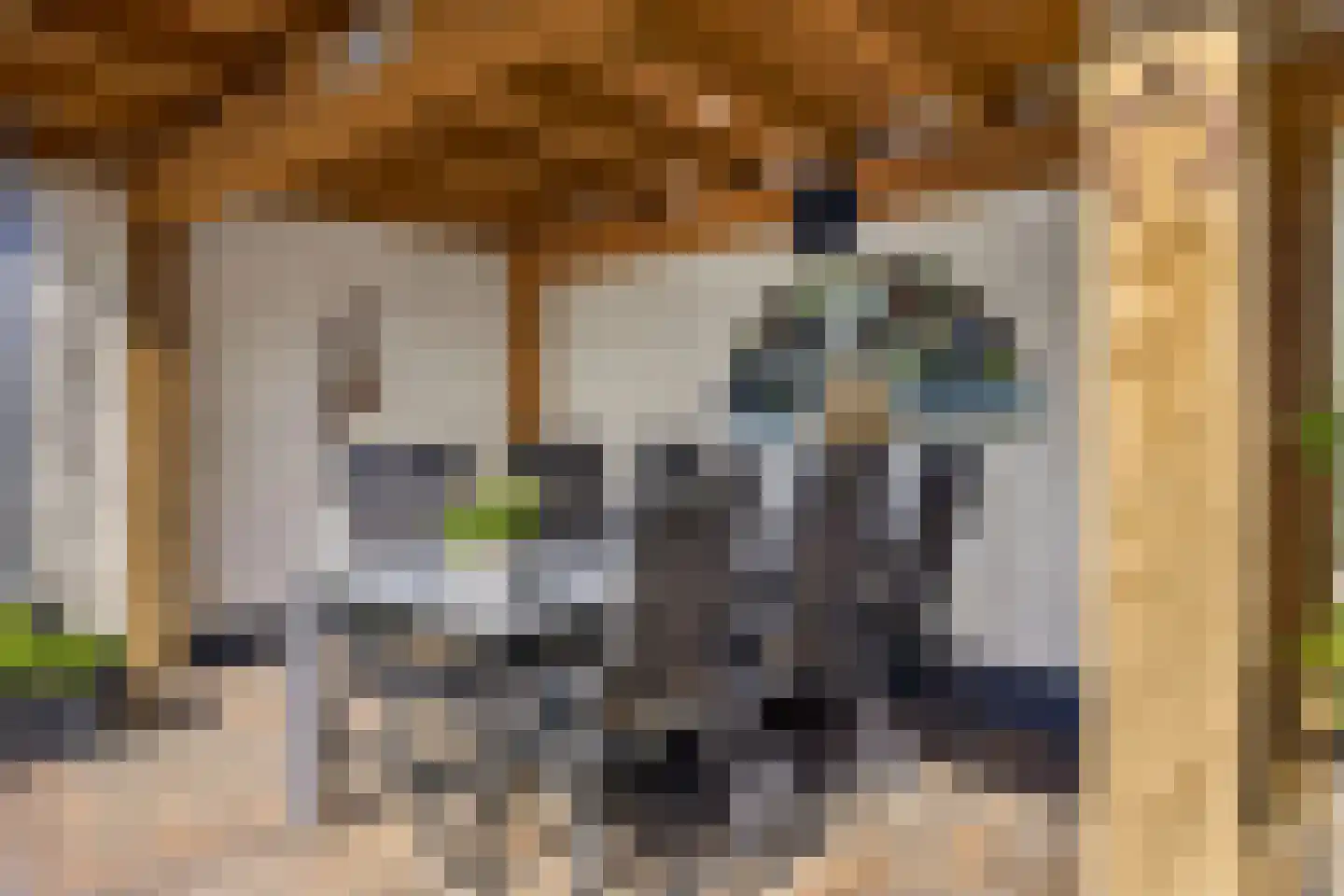 Bachstraat 40 Elst thumbnail 27