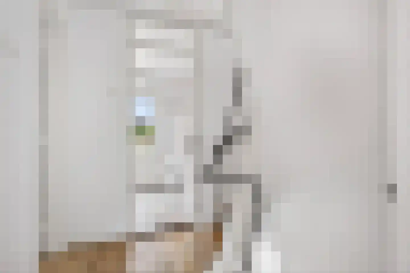 Bachstraat 40 Elst thumbnail 32