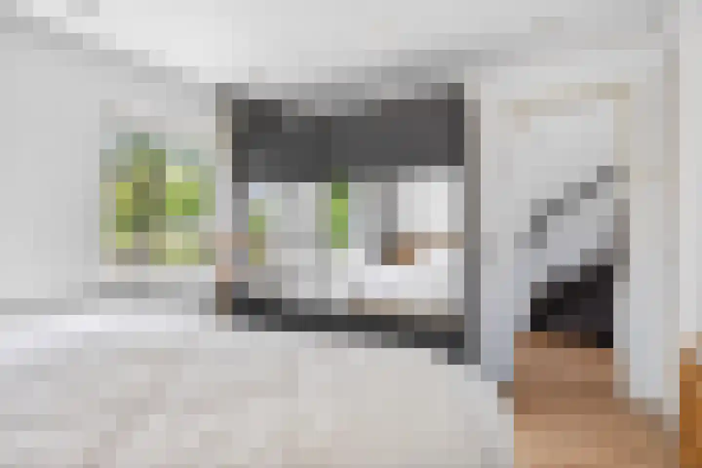 Bachstraat 40 Elst thumbnail 34