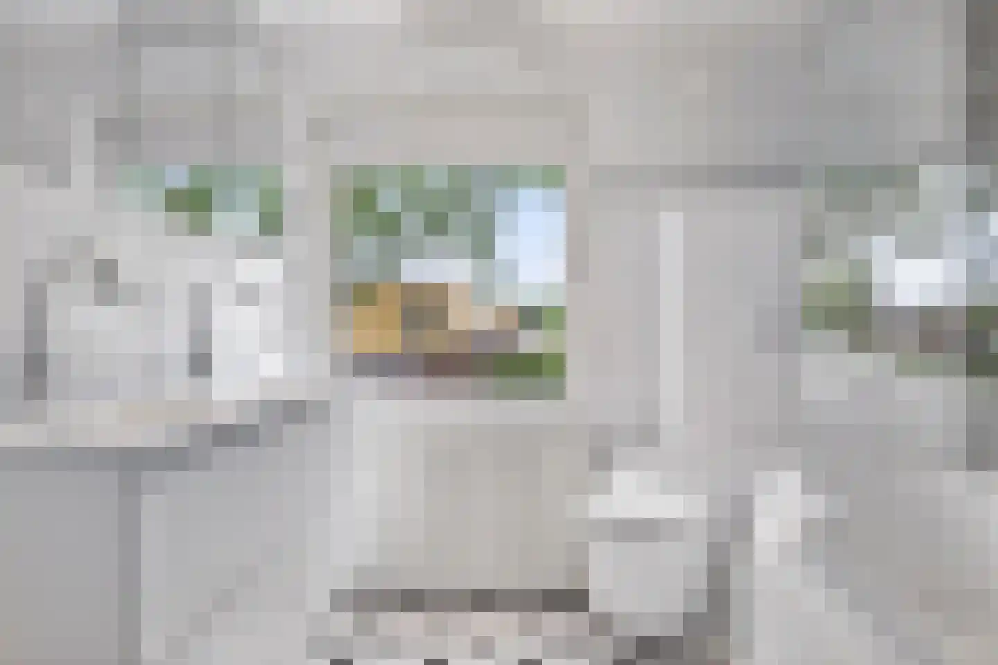 Bachstraat 40 Elst thumbnail 38