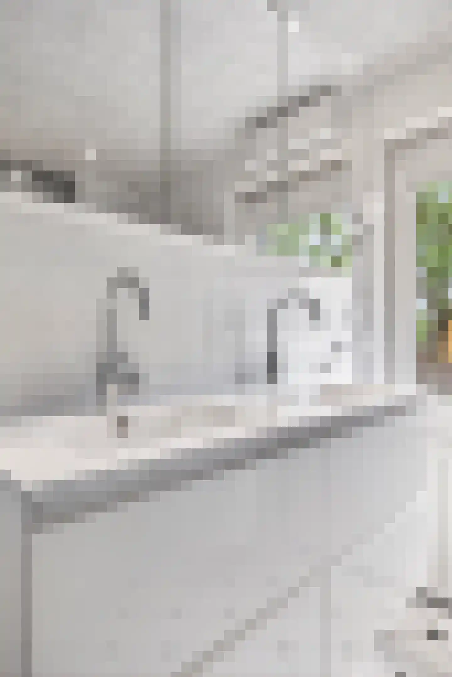 Bachstraat 40 Elst thumbnail 39