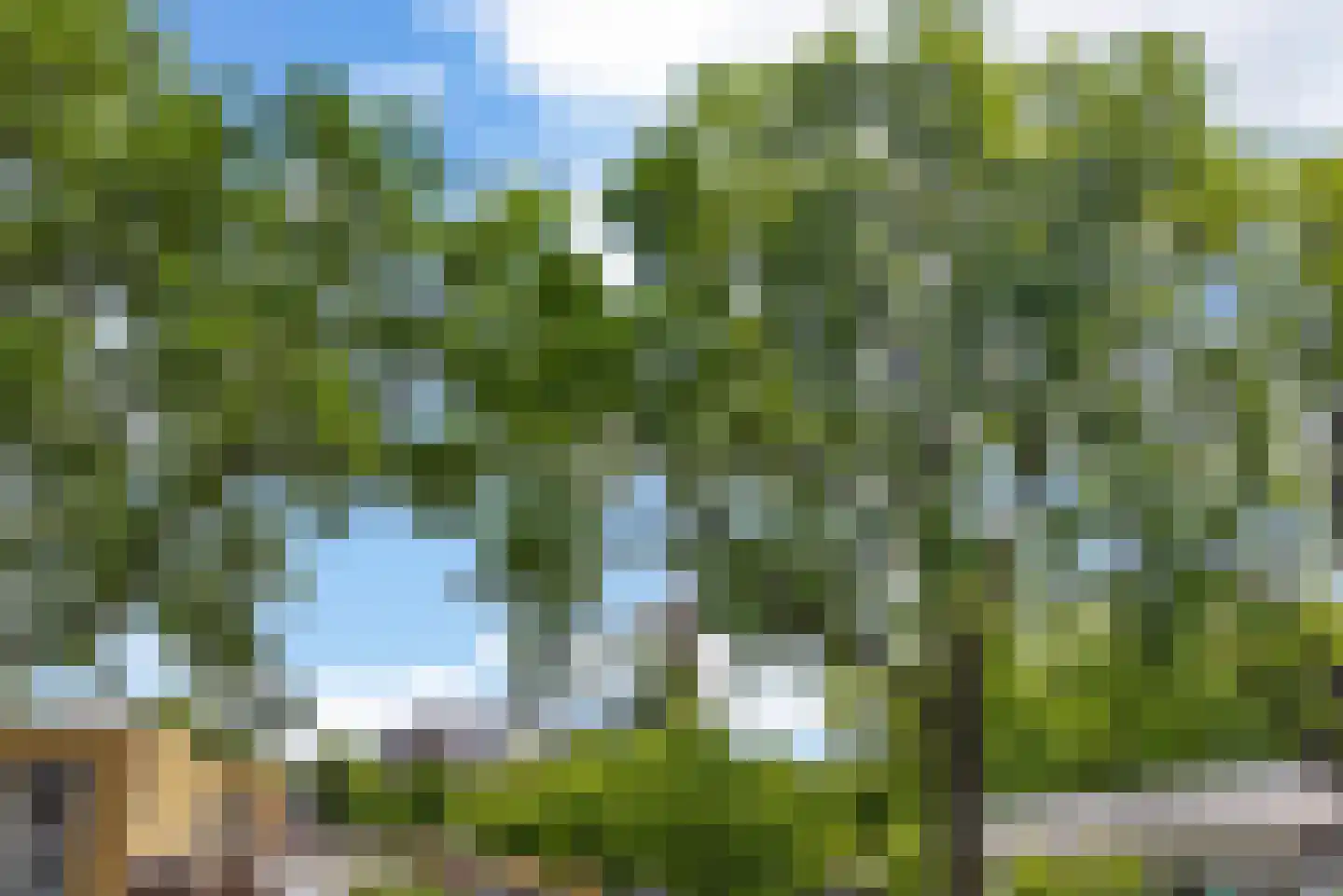Bachstraat 40 Elst thumbnail 46