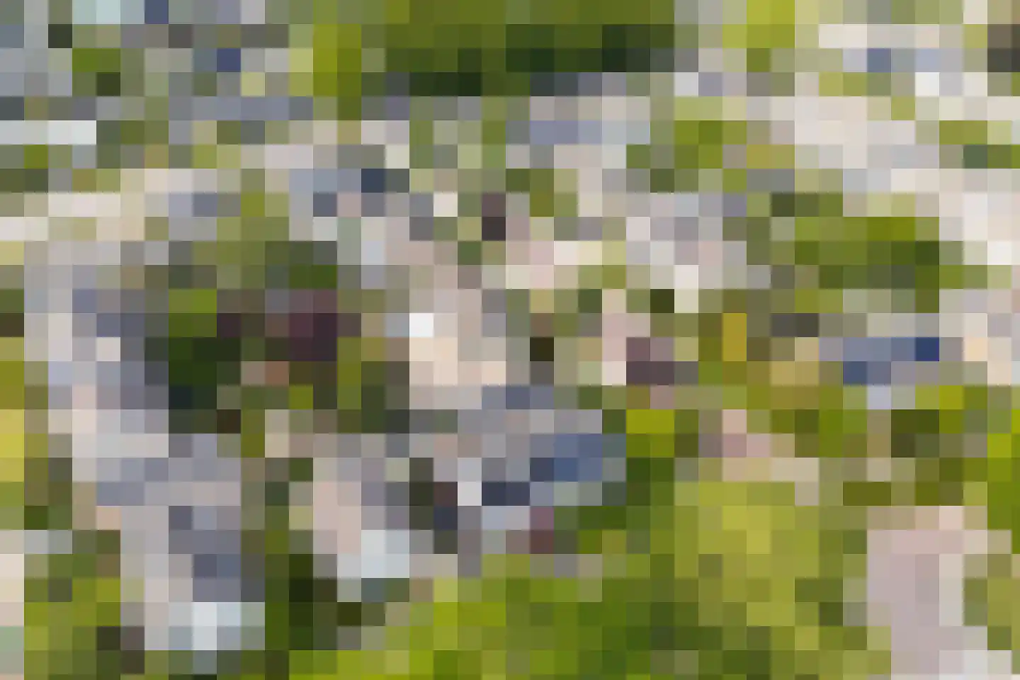 Bachstraat 40 Elst thumbnail 48