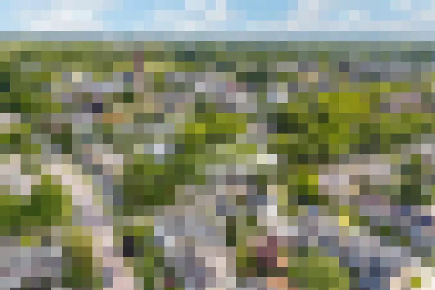 Bachstraat 40 Elst thumbnail 49