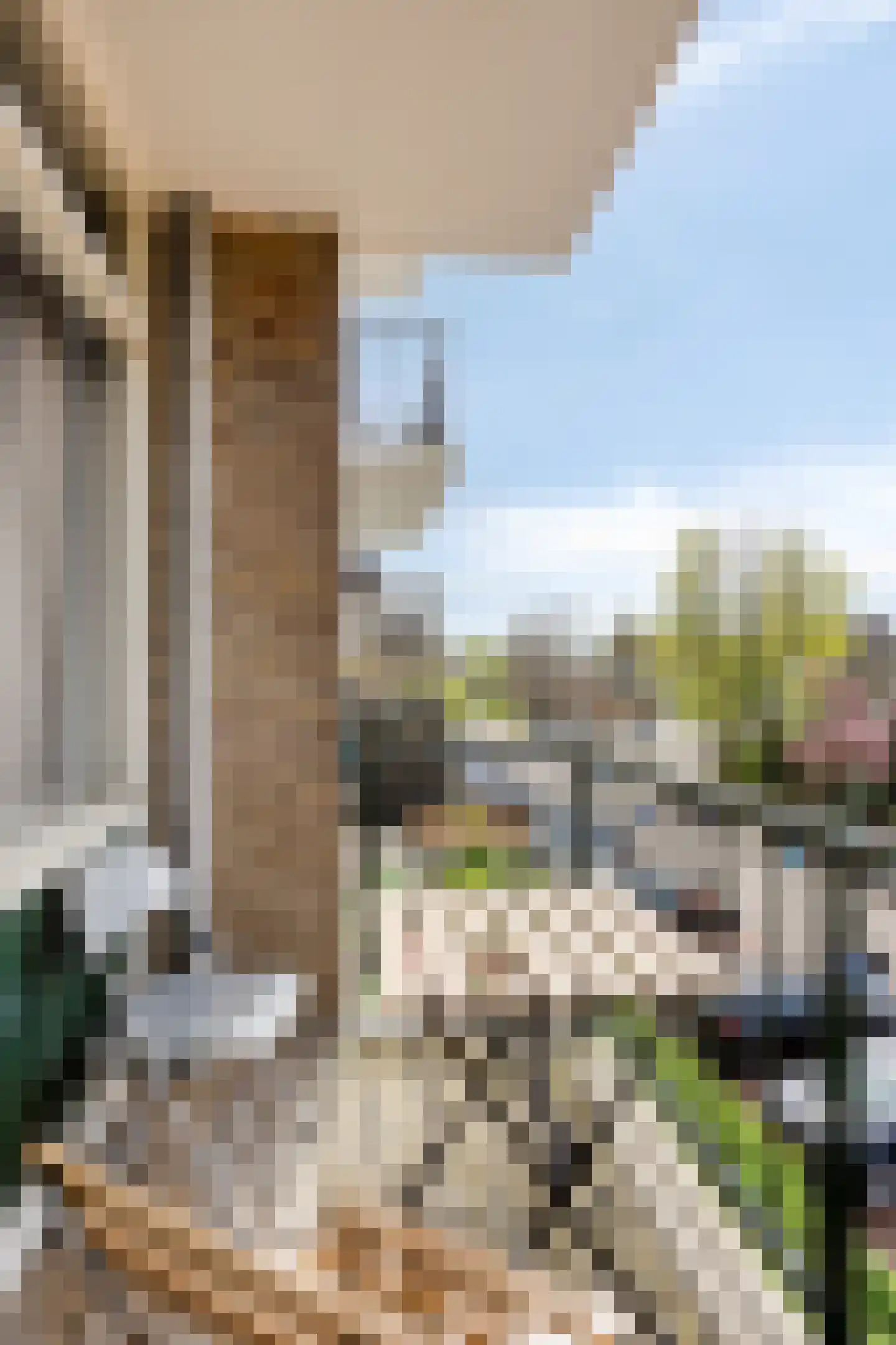 Bachstraat 438 Leiden thumbnail 14