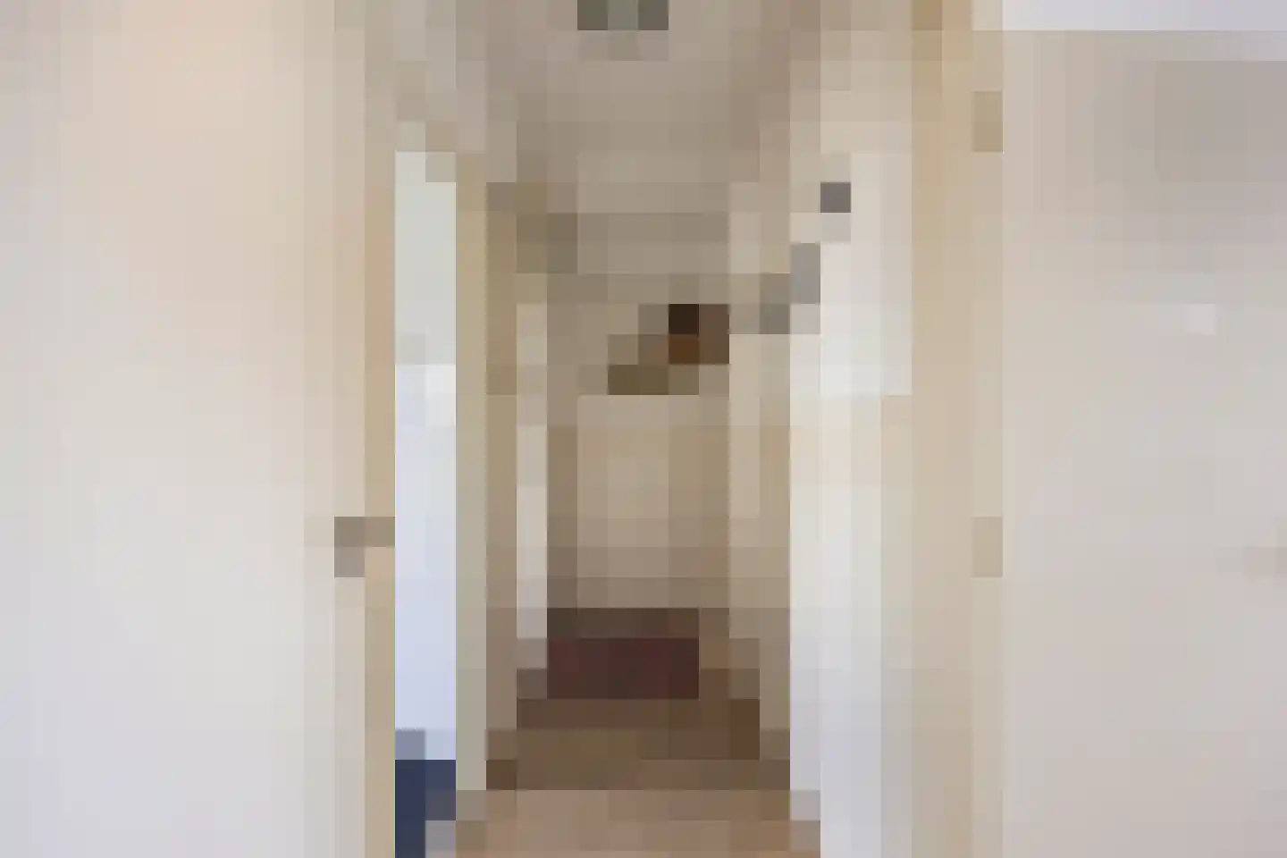 Bachstraat 438 Leiden thumbnail 25