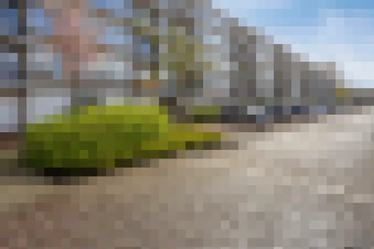 Bachstraat 450 Leiden thumbnail 26