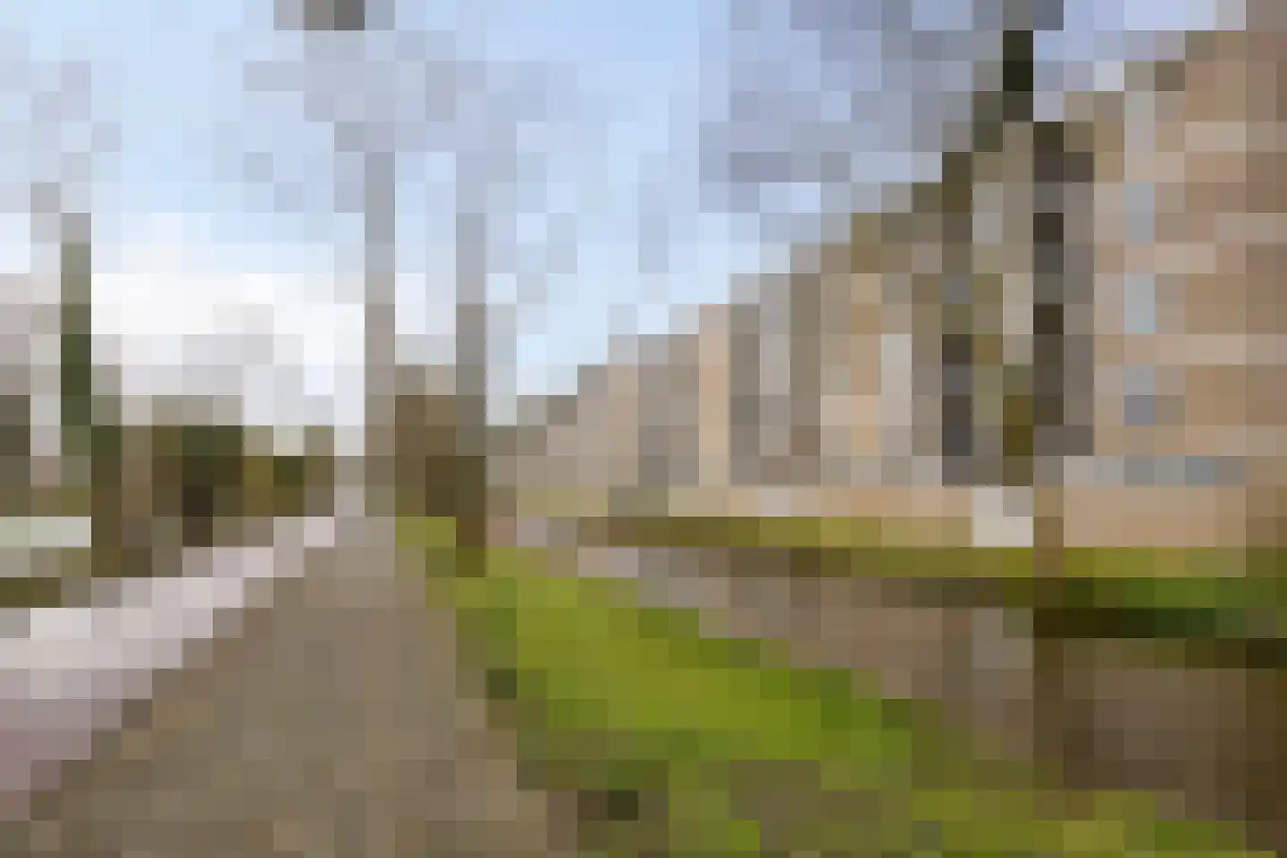 Bachstraat 450 Leiden thumbnail 31