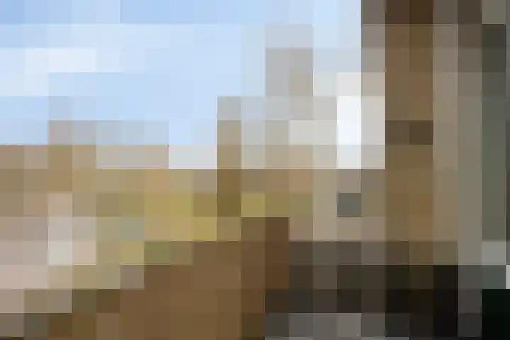 Bachstraat 450 Leiden thumbnail 6