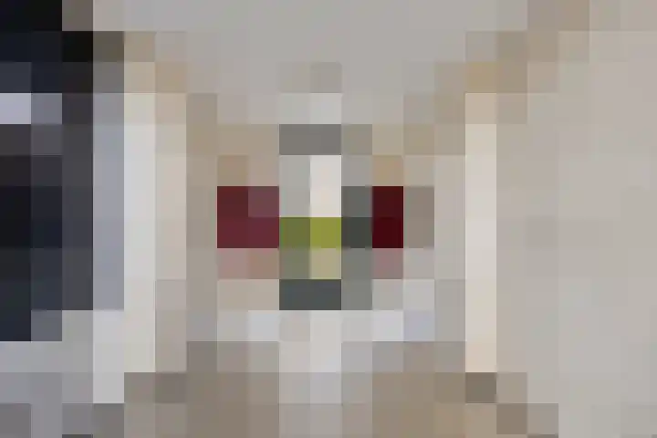 Bachstraat 450 Leiden thumbnail 9