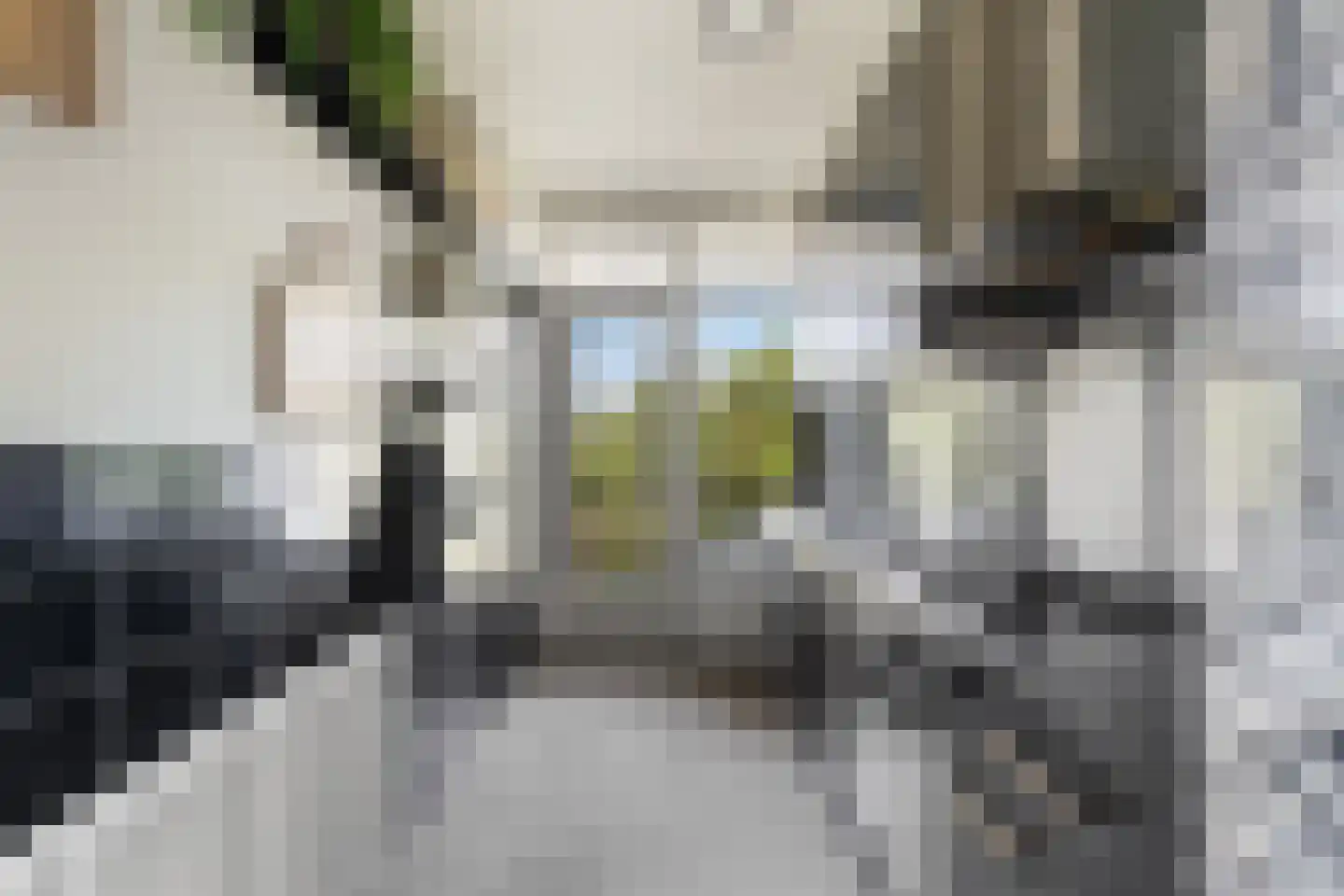Bachstraat 476 Leiden thumbnail 16