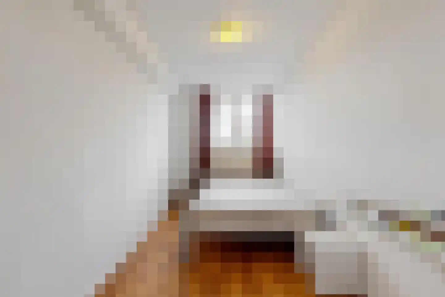 Bachstraat 48 Roermond thumbnail 17