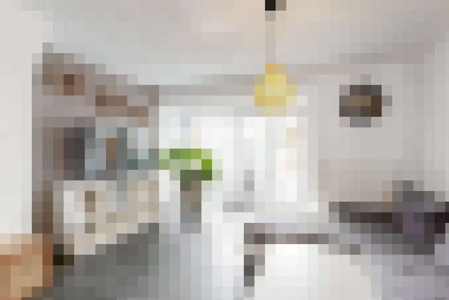 Bachstraat 48 Roermond thumbnail 6