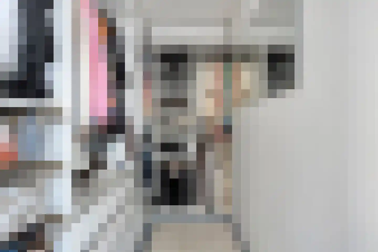 Bachstraat 5 Castricum thumbnail 23