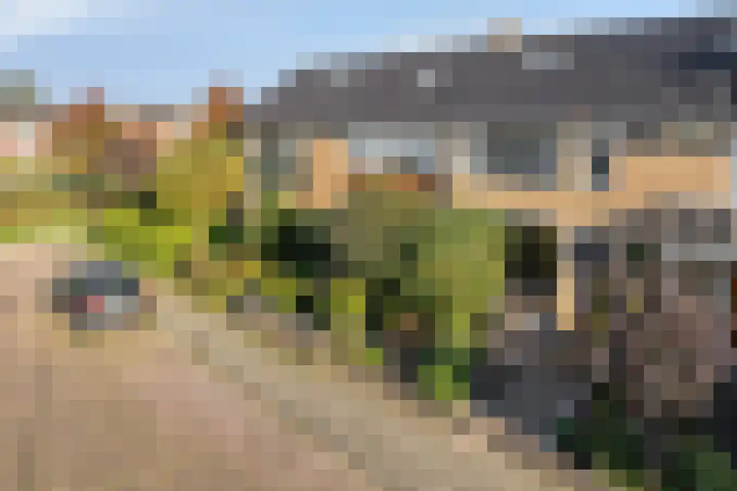 Bachstraat 5 Castricum thumbnail 30
