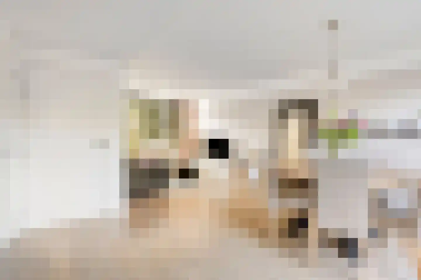 Bachstraat 5 Castricum thumbnail 6