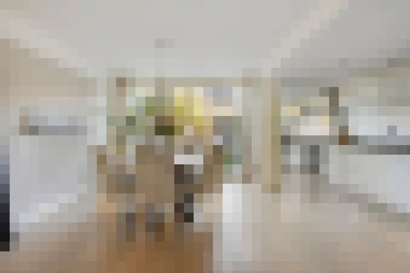 Bachstraat 5 Castricum thumbnail 7