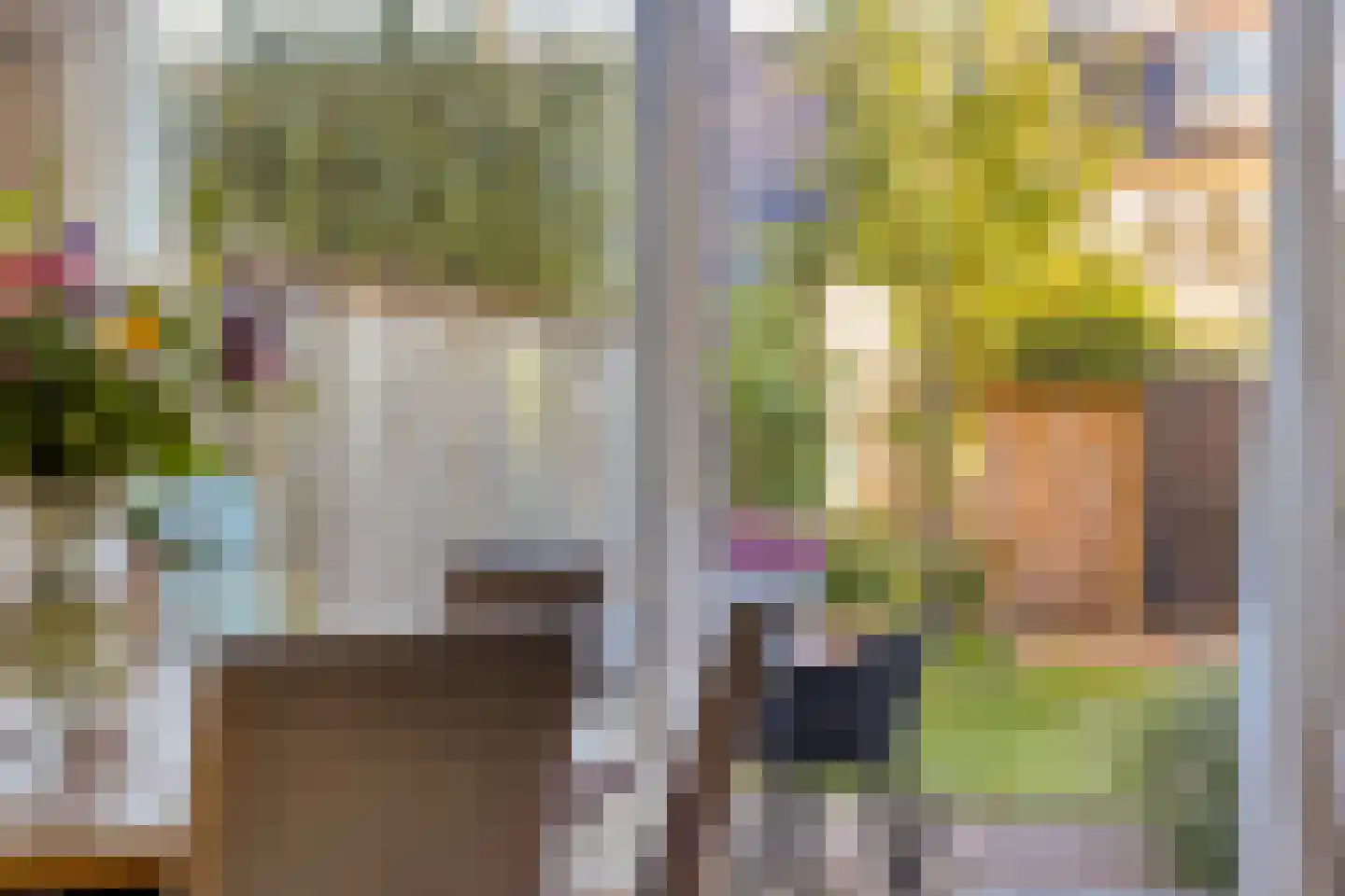 Bachstraat 5 Castricum thumbnail 8