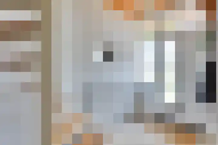 Bachstraat 5 Lichtenvoorde thumbnail 27