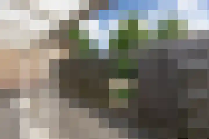 Bachstraat 5 Lichtenvoorde thumbnail 35