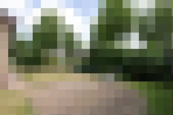 Bachstraat 5 Lichtenvoorde thumbnail 36