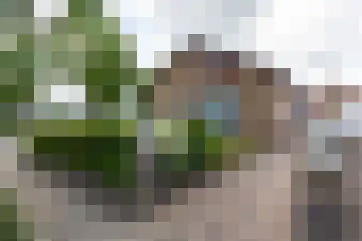 Bachstraat 5 Lichtenvoorde thumbnail 4