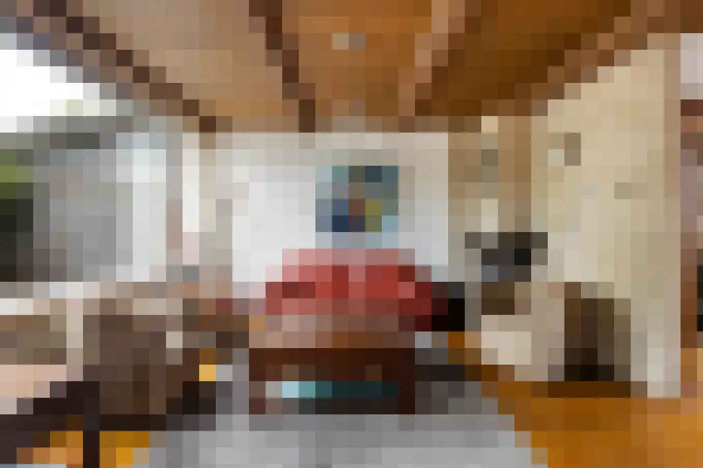 Bachstraat 5 Numansdorp thumbnail 11