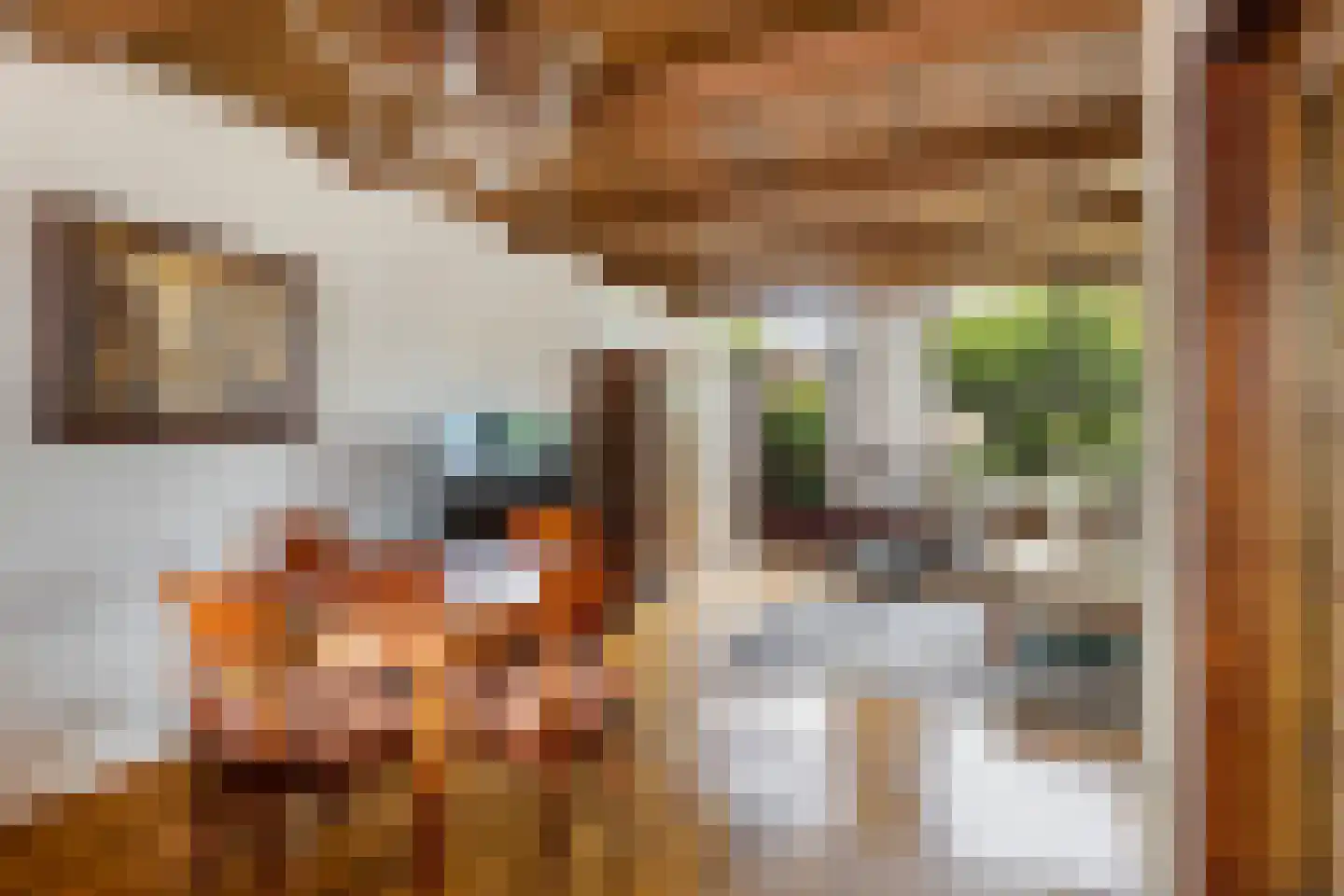 Bachstraat 5 Numansdorp thumbnail 13