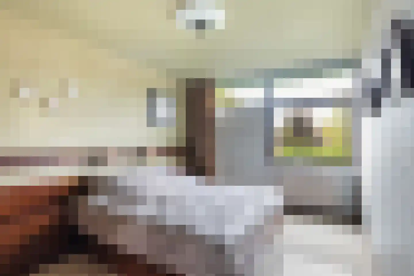Bachstraat 5 Numansdorp thumbnail 22