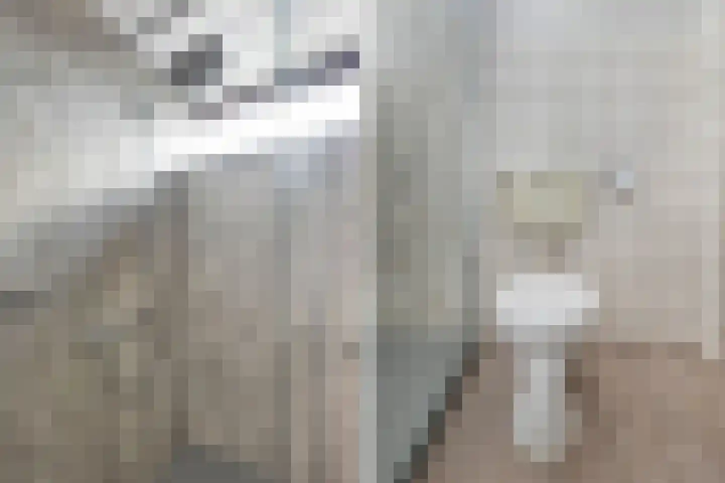 Bachstraat 5 Numansdorp thumbnail 28
