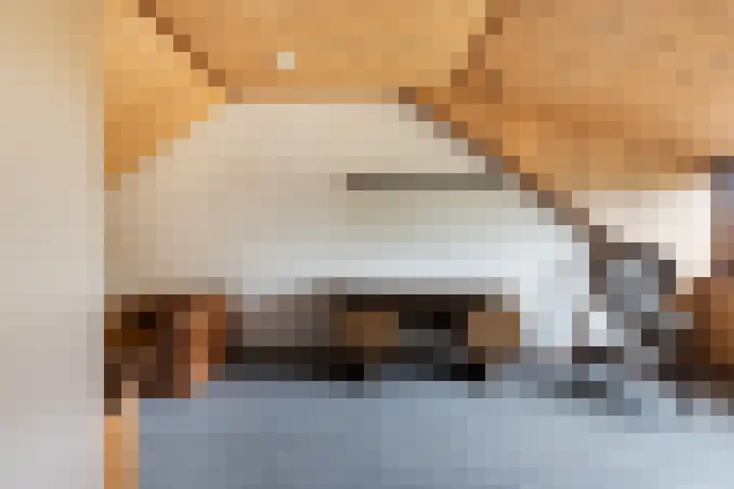 Bachstraat 5 Numansdorp thumbnail 31